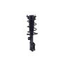 FCS Struts 1334467L Suspension Strut and Coil Spring Assembly