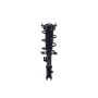 FCS Struts 1334467L Suspension Strut and Coil Spring Assembly