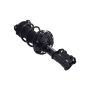 FCS Struts 1334467L Suspension Strut and Coil Spring Assembly