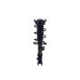 FCS Struts 1334467R Suspension Strut and Coil Spring Assembly