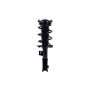 FCS Struts 1334472L Suspension Strut and Coil Spring Assembly