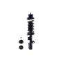 FCS Struts 1334483L Suspension Strut and Coil Spring Assembly