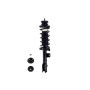FCS Struts 1334483L Suspension Strut and Coil Spring Assembly