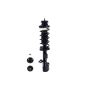 FCS Struts 1334483R Suspension Strut and Coil Spring Assembly