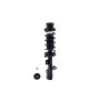 FCS Struts 1334484L Suspension Strut and Coil Spring Assembly