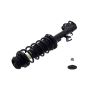 FCS Struts 1334484L Suspension Strut and Coil Spring Assembly