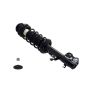 FCS Struts 1334484L Suspension Strut and Coil Spring Assembly