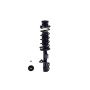 FCS Struts 1334484R Suspension Strut and Coil Spring Assembly