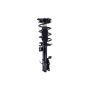 FCS Struts 1334485R Suspension Strut and Coil Spring Assembly