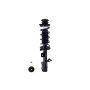 FCS Struts 1334486L Suspension Strut and Coil Spring Assembly