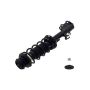 FCS Struts 1334486L Suspension Strut and Coil Spring Assembly