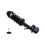 FCS Struts 1334486L Suspension Strut and Coil Spring Assembly