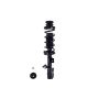 FCS Struts 1334486R Suspension Strut and Coil Spring Assembly