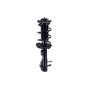 FCS Struts 1334489L Suspension Strut and Coil Spring Assembly