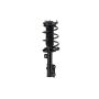 FCS Struts 1334490L Suspension Strut and Coil Spring Assembly