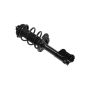 FCS Struts 1334490L Suspension Strut and Coil Spring Assembly