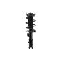 FCS Struts 1334490R Suspension Strut and Coil Spring Assembly