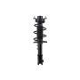 FCS Struts 1334491L Suspension Strut and Coil Spring Assembly