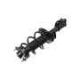 FCS Struts 1334491L Suspension Strut and Coil Spring Assembly