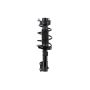 FCS Struts 1334491R Suspension Strut and Coil Spring Assembly