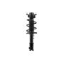 FCS Struts 1334491R Suspension Strut and Coil Spring Assembly