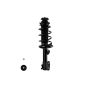 FCS Struts 1335383L Suspension Strut and Coil Spring Assembly