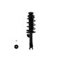 FCS Struts 1335383L Suspension Strut and Coil Spring Assembly
