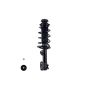 FCS Struts 1335383R Suspension Strut and Coil Spring Assembly