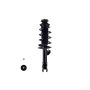 FCS Struts 1335383R Suspension Strut and Coil Spring Assembly