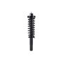 FCS Struts 1335519R Suspension Strut and Coil Spring Assembly