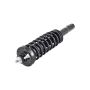 FCS Struts 1335519R Suspension Strut and Coil Spring Assembly