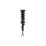 FCS Struts 1335523L Suspension Strut and Coil Spring Assembly