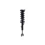 FCS Struts 1335523R Suspension Strut and Coil Spring Assembly
