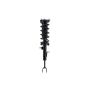 FCS Struts 1335523R Suspension Strut and Coil Spring Assembly