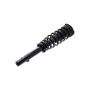 FCS Struts 1335527R Suspension Strut and Coil Spring Assembly