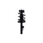FCS Struts 1335542R Suspension Strut and Coil Spring Assembly