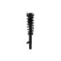 FCS Struts 1335543L Suspension Strut and Coil Spring Assembly