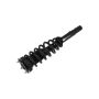 FCS Struts 1335543L Suspension Strut and Coil Spring Assembly