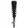 FCS Struts 1335543R Suspension Strut and Coil Spring Assembly