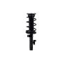 FCS Struts 1335555L Suspension Strut and Coil Spring Assembly