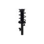 FCS Struts 1335555R Suspension Strut and Coil Spring Assembly