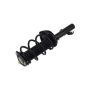 FCS Struts 1335555R Suspension Strut and Coil Spring Assembly