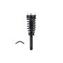 FCS Struts 1335556 Suspension Strut and Coil Spring Assembly