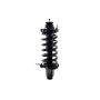 FCS Struts 1335557L Suspension Strut and Coil Spring Assembly