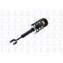 FCS Struts 1335562L Suspension Strut and Coil Spring Assembly