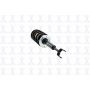 FCS Struts 1335562R Suspension Strut and Coil Spring Assembly
