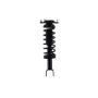 FCS Struts 1335578 Suspension Strut and Coil Spring Assembly