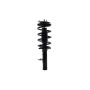 FCS Struts 1335579L Suspension Strut and Coil Spring Assembly