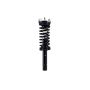 FCS Struts 1335582L Suspension Strut and Coil Spring Assembly