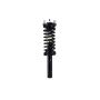 FCS Struts 1335582R Suspension Strut and Coil Spring Assembly